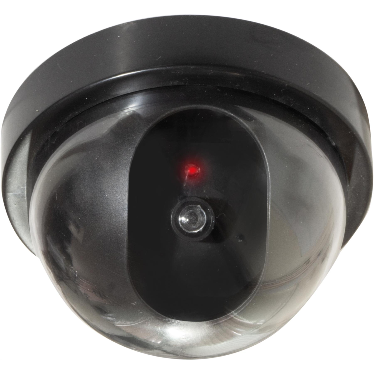Eagle Dummy Dome Surveillance Camera