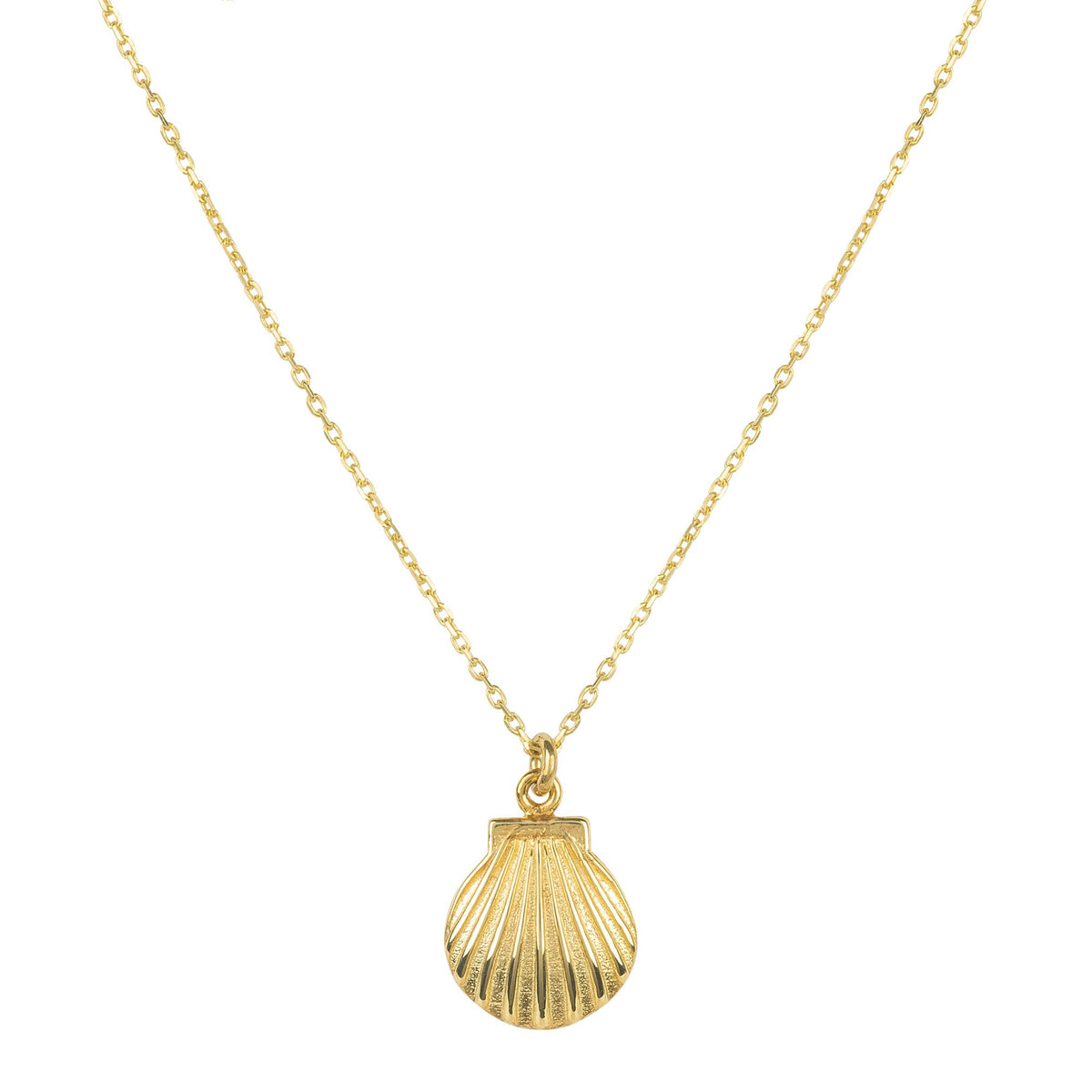 Scallop Mini Shell Necklace Gold