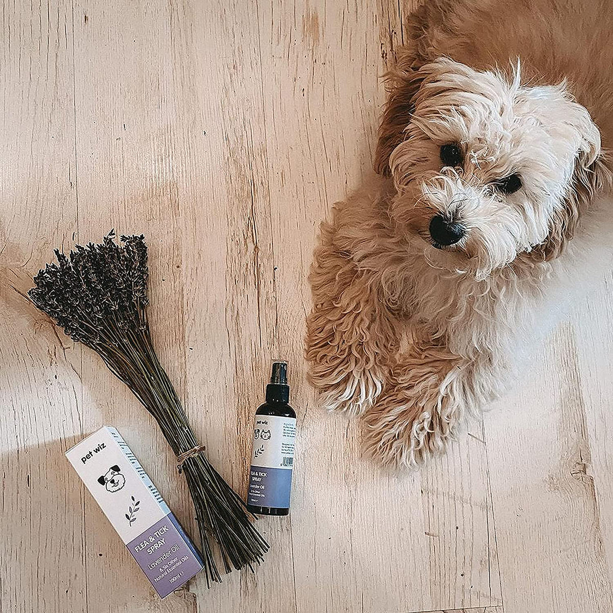 Organic Flea & Tick Spray for Dogs & Cats