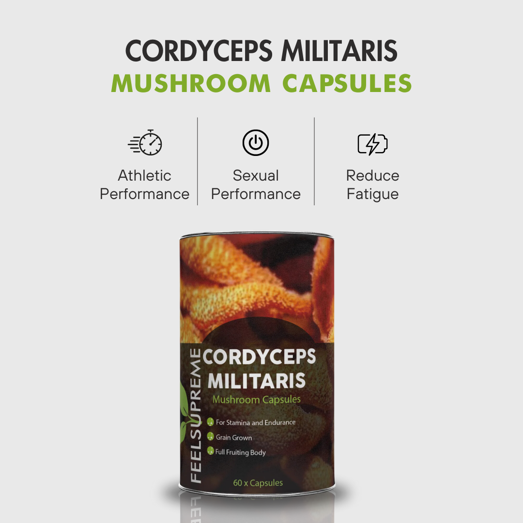 Cordyceps Capsules