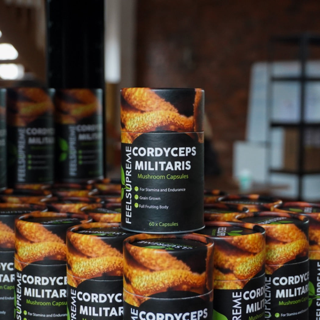 Cordyceps Capsules