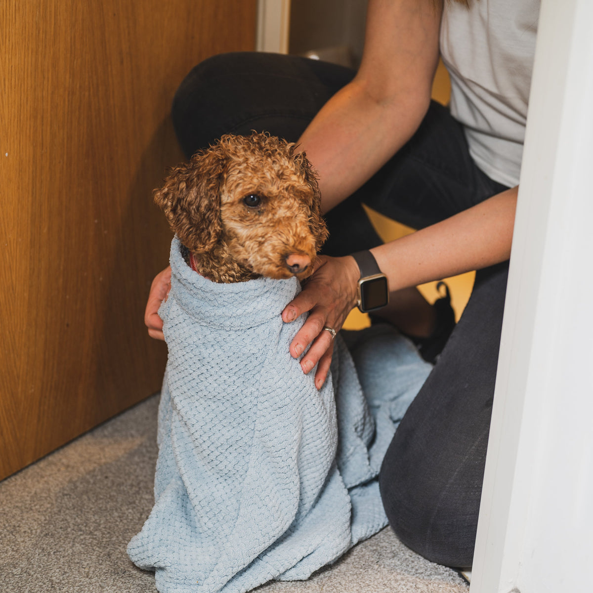 Super Absorbent Microfibre Dog Drying Bag