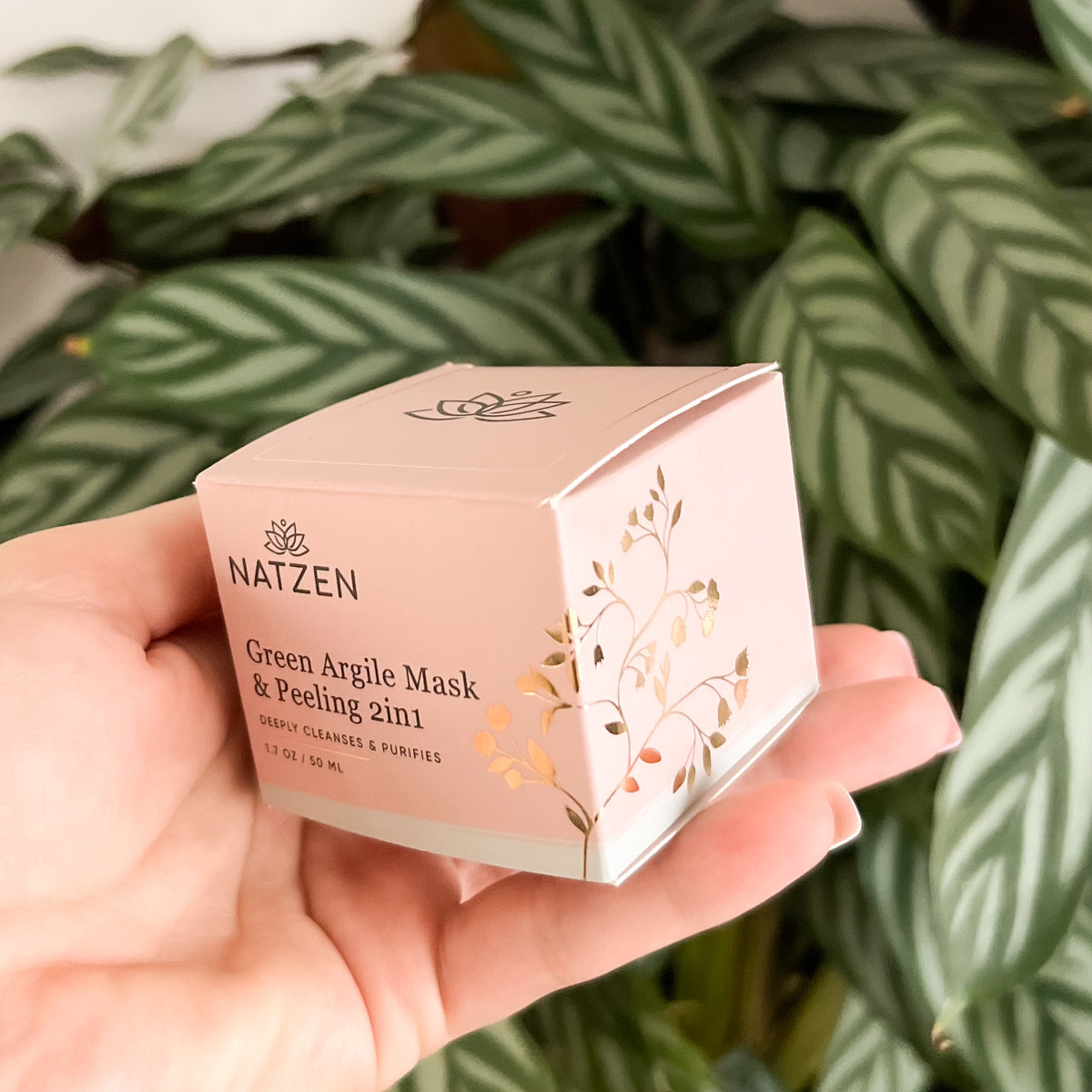 Green Argile 2 in 1 Exfoliating Clarifying Face Mask