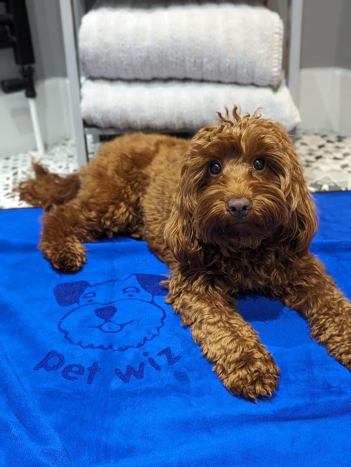 Microfiber Pet Towel - Extra Large