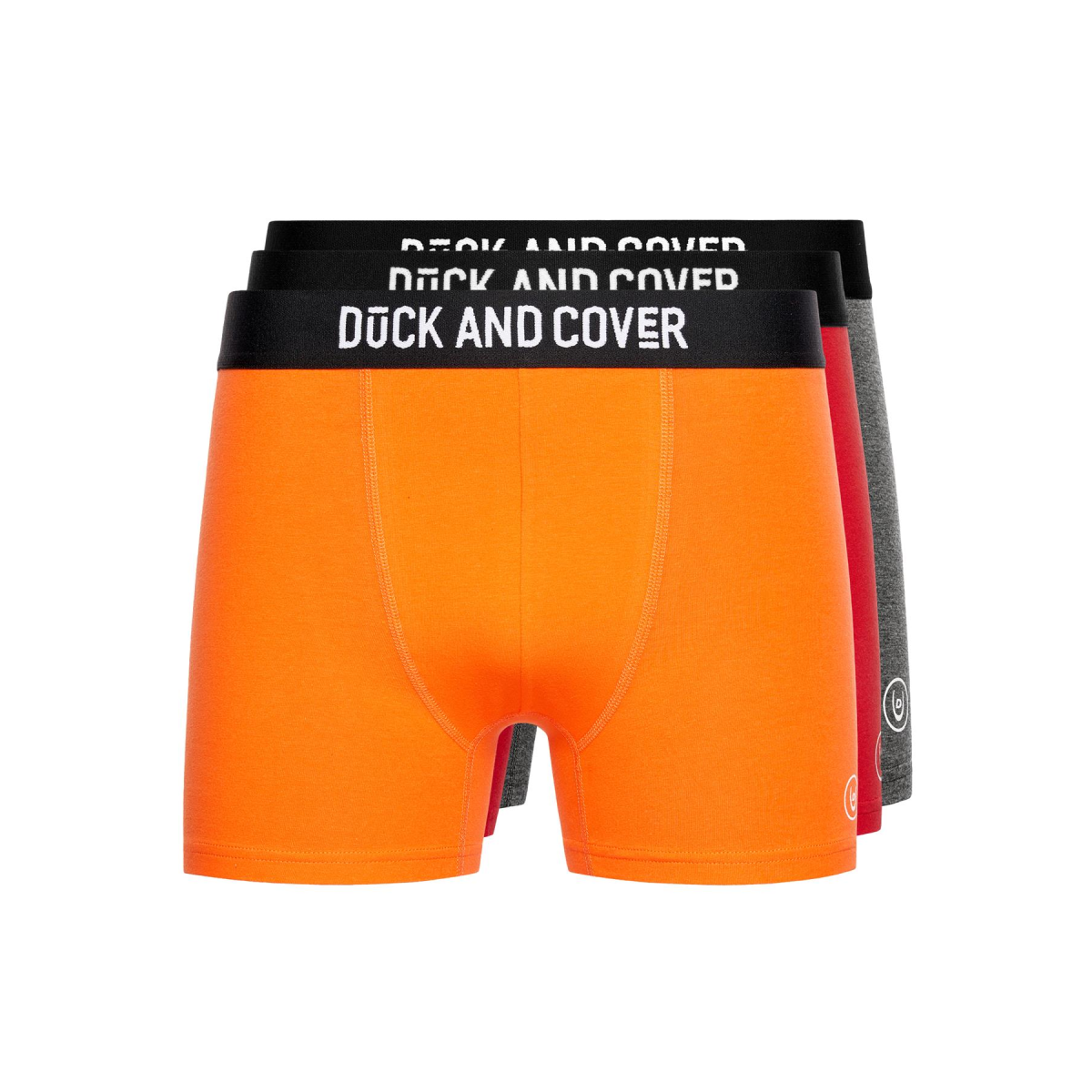 main.png