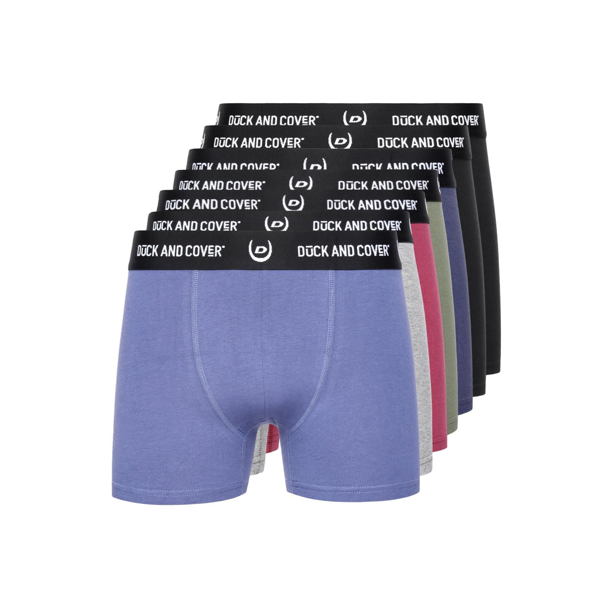 main.png