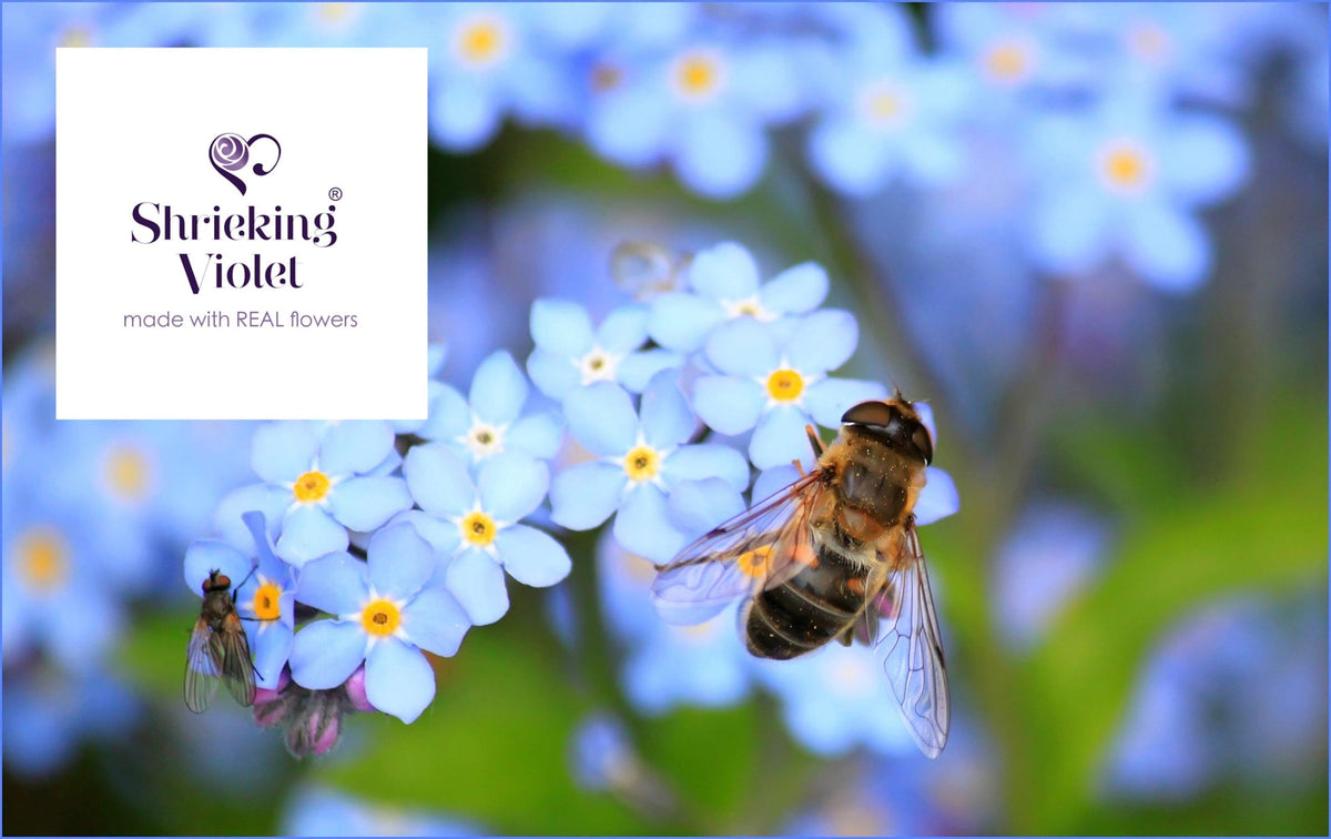 Forget-Me-Not Cufflinks