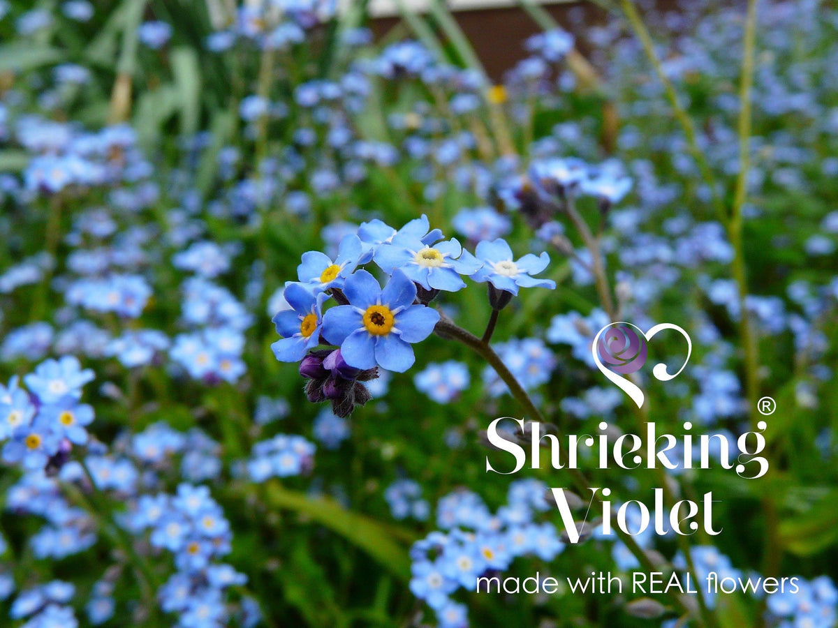 Forget-Me-Not Cufflinks