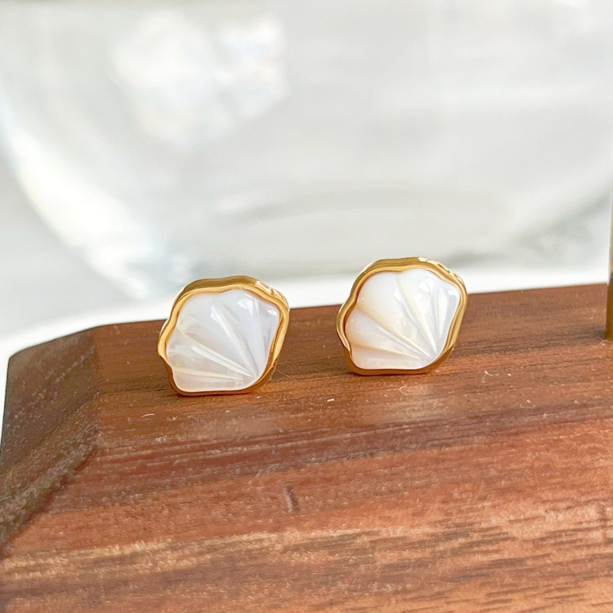 Natural Seashell Stud Earrings