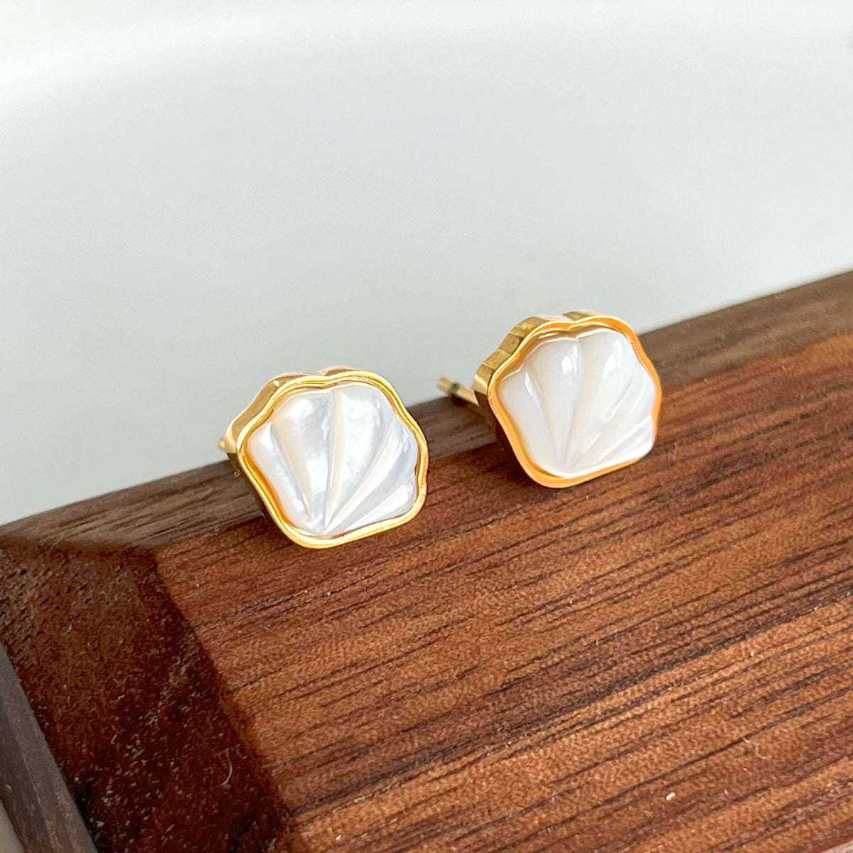 Natural Seashell Stud Earrings