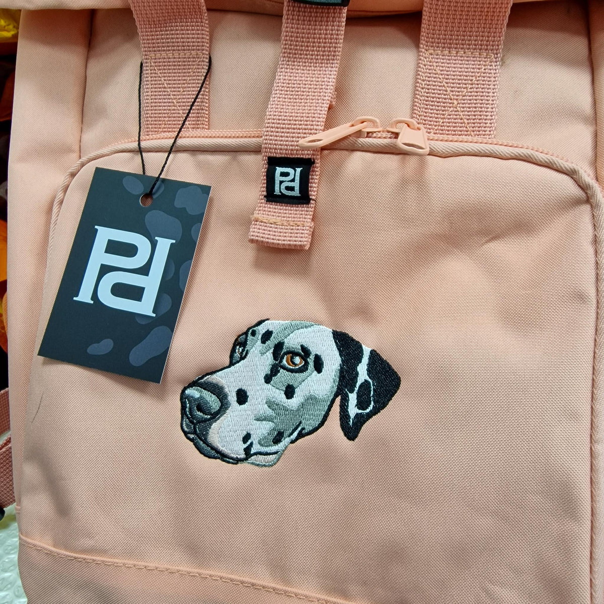 Recycled Backpack