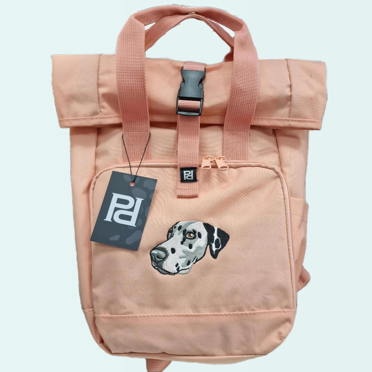 Recycled Backpack